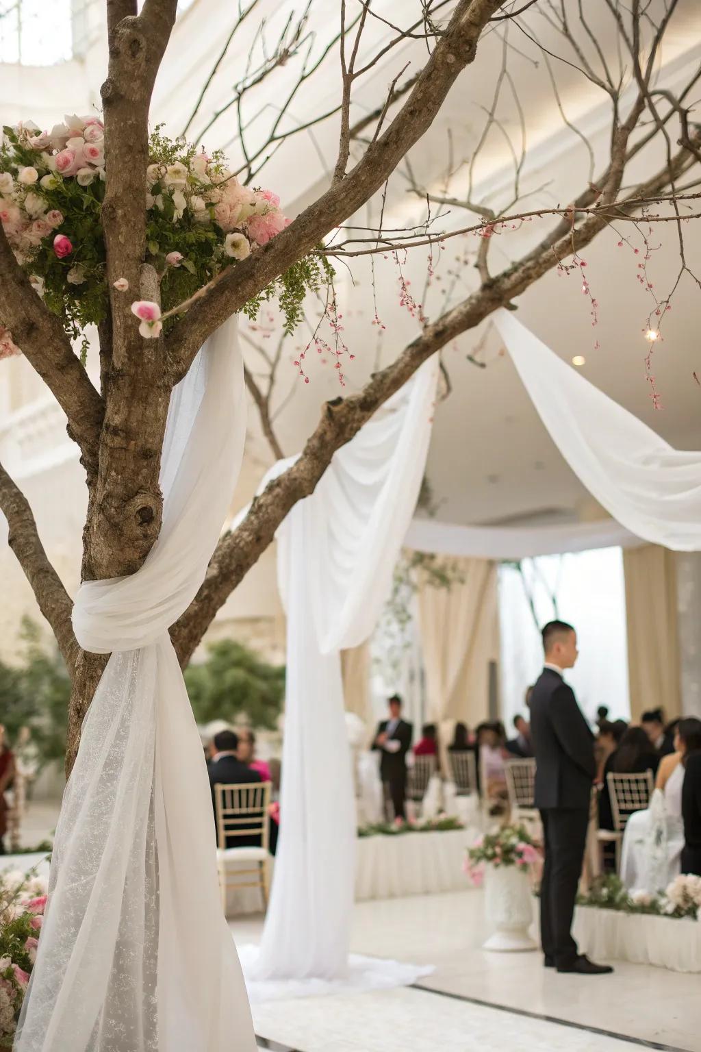 Soft fabrics draped over tree branches creating a romantic wedding backdrop.