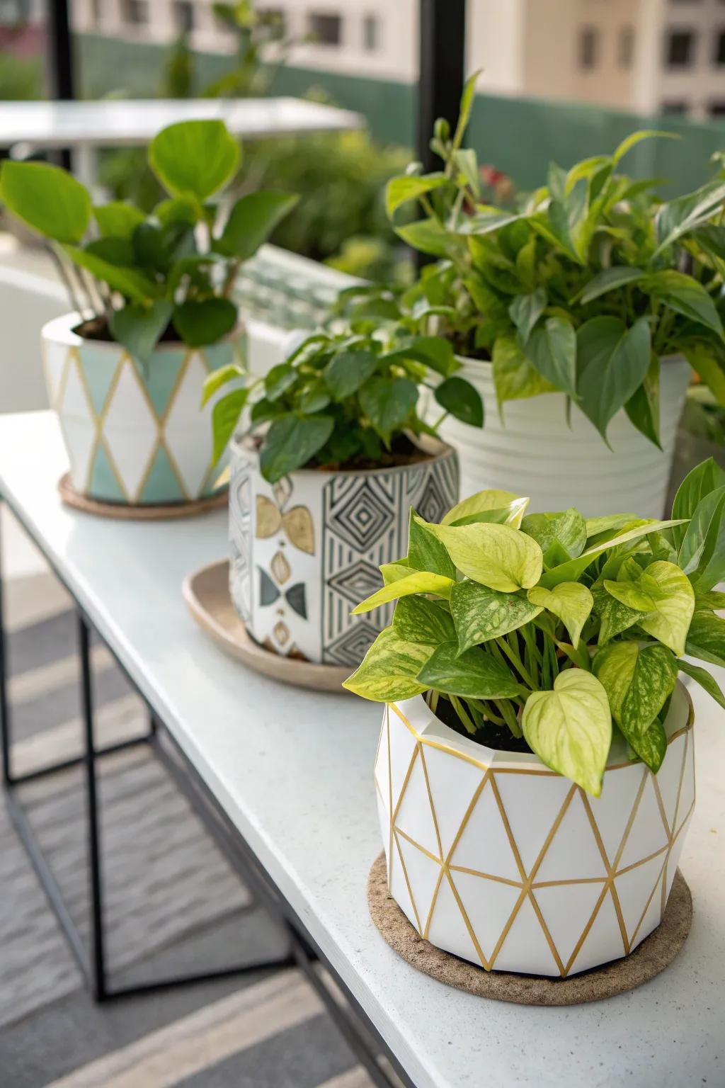 Geometric planters give pothos a modern edge.