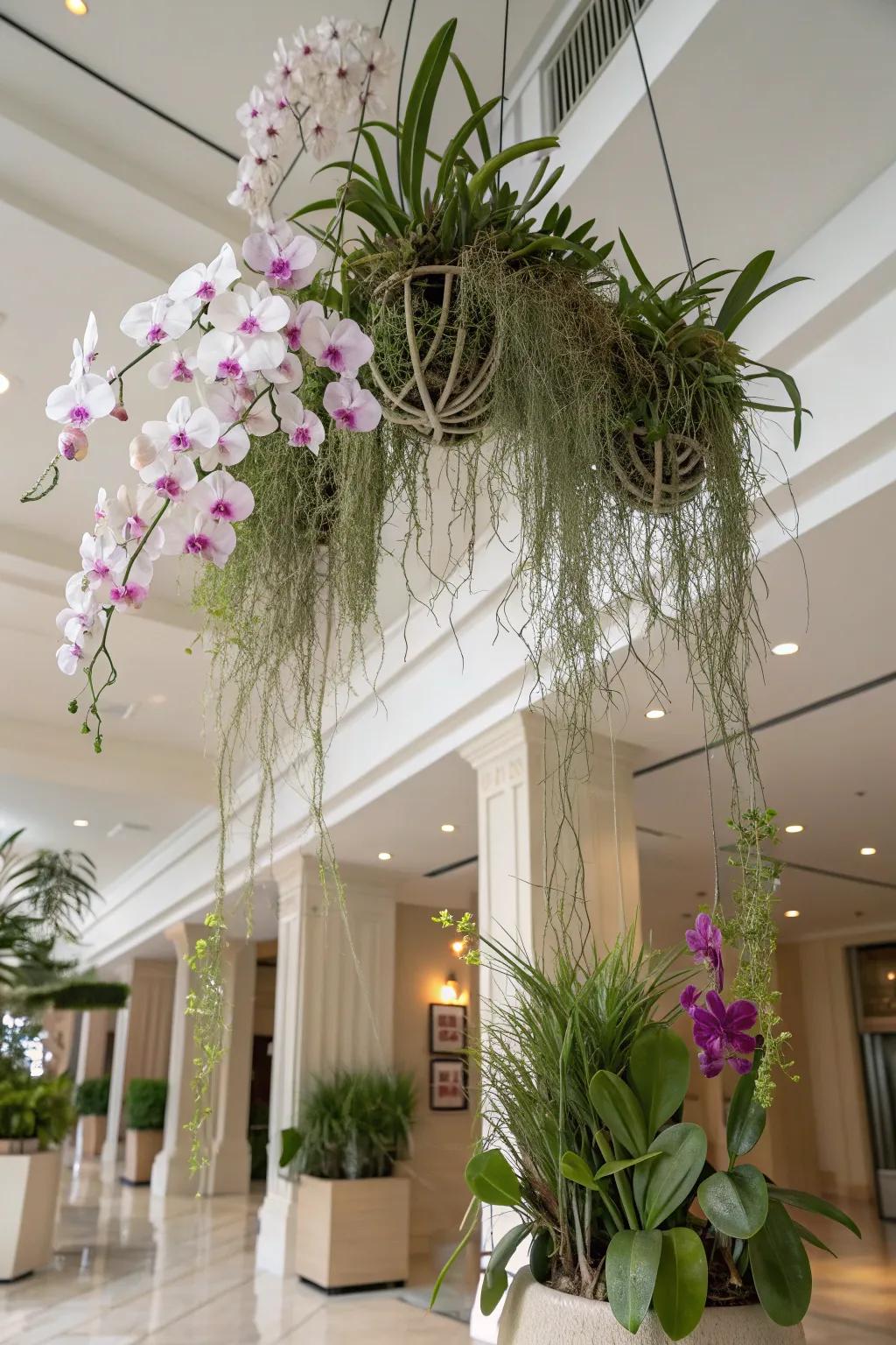 Orchids and air plants create a dynamic, floating garden.