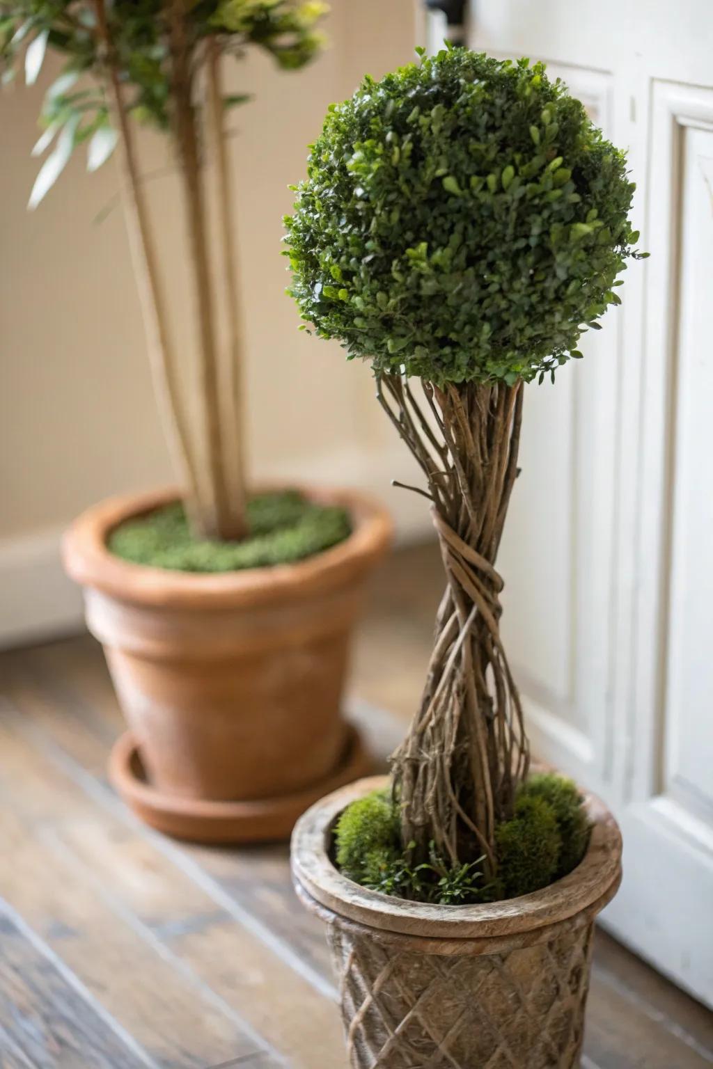 DIY topiaries add a handmade touch to your home.