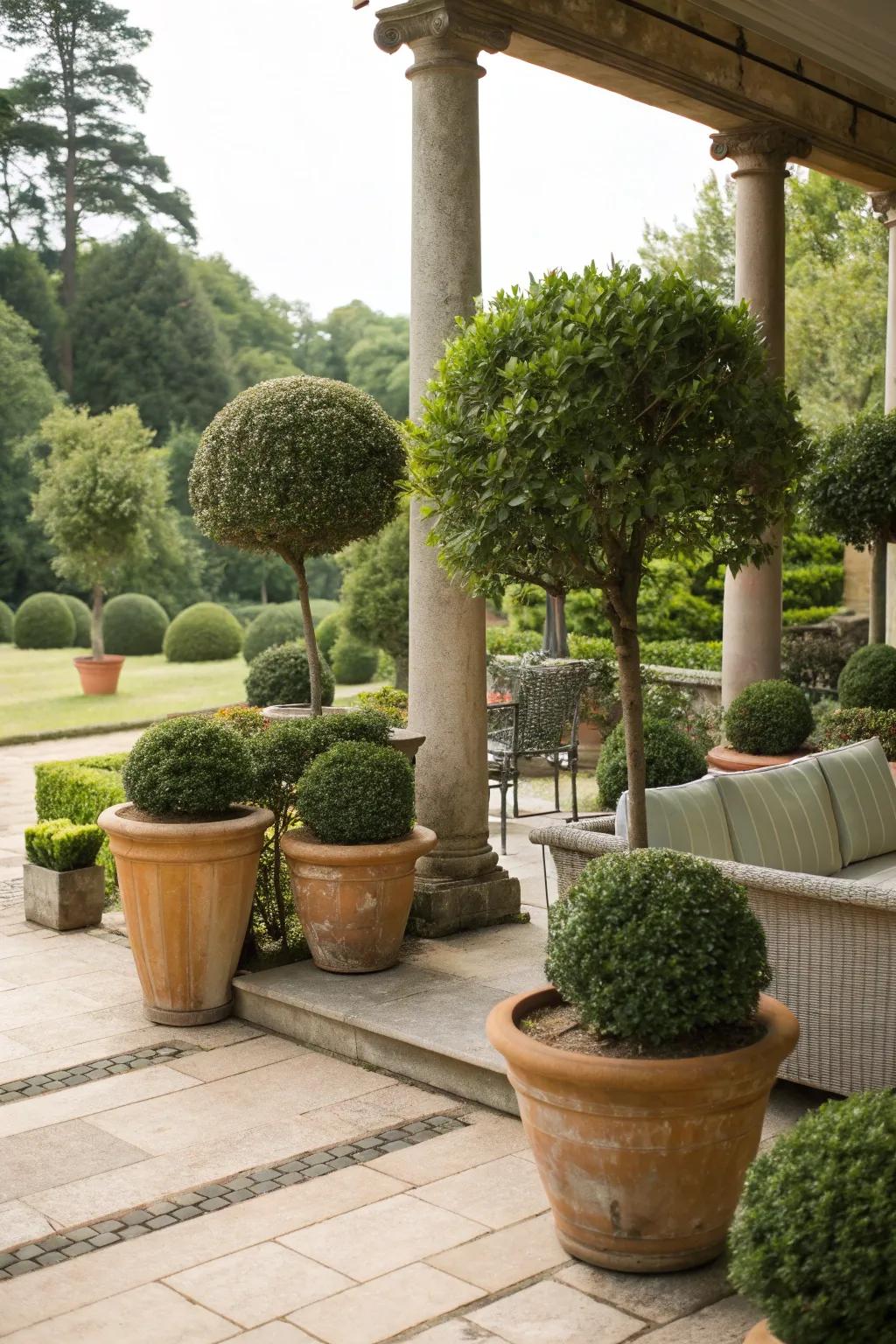 Topiaries transform your terrace into a tranquil oasis.