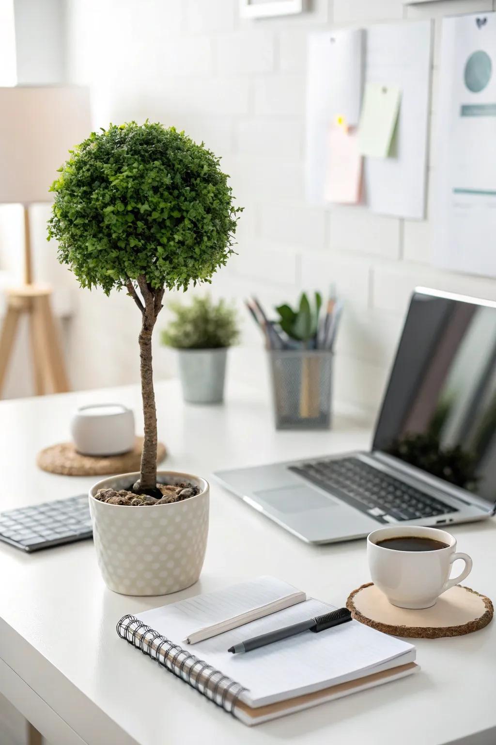 Desk topiaries add a refreshing touch to your workspace.