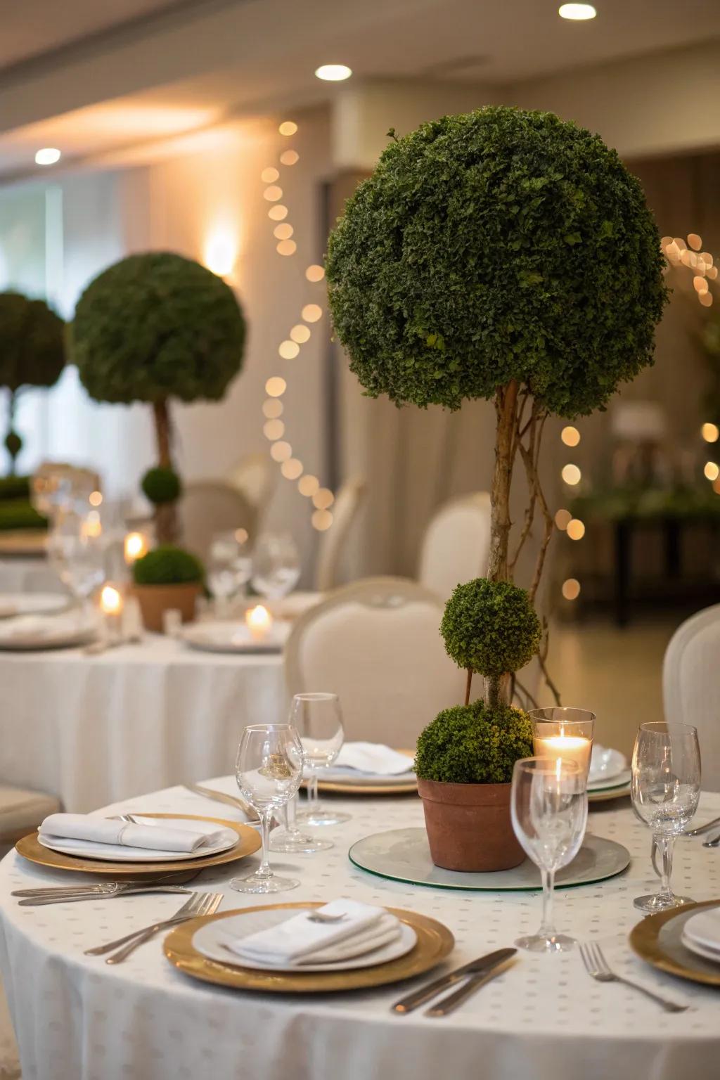 An elegant dining table enhanced by topiary ball centerpieces.
