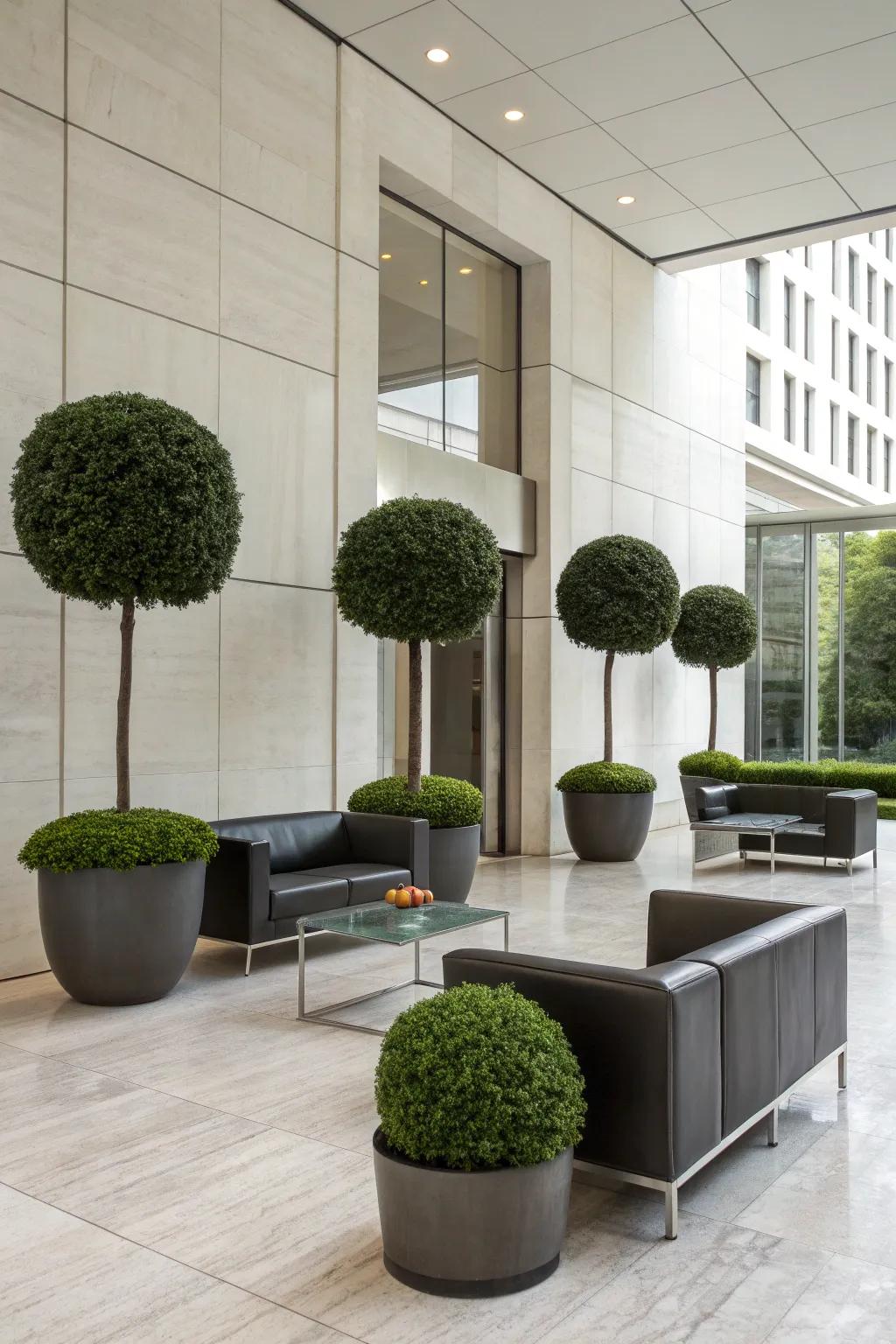 Create a modern minimalist vibe with topiary balls.