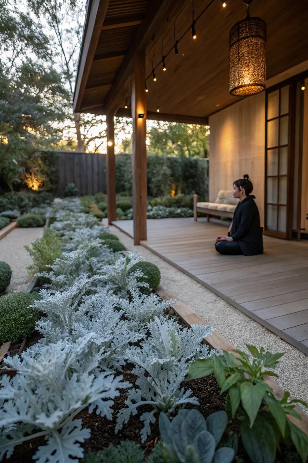Dusty miller brings serenity to garden meditation spots.