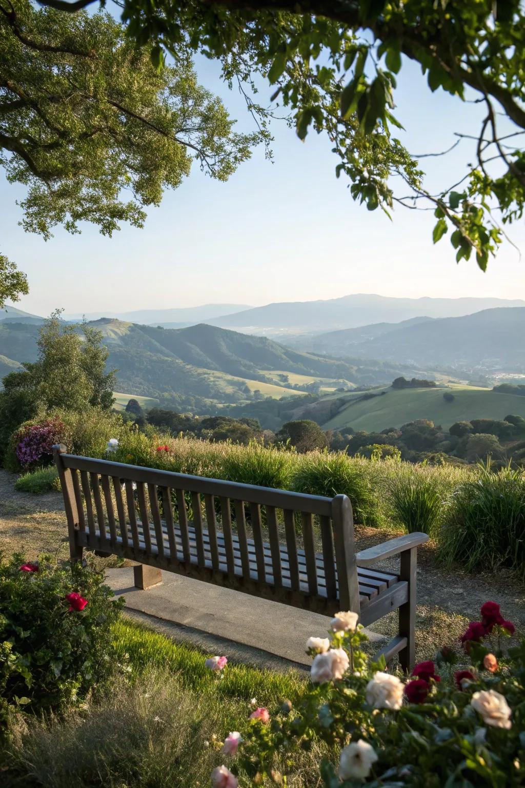A memorial bench positioned to offer a breathtaking scenic view.