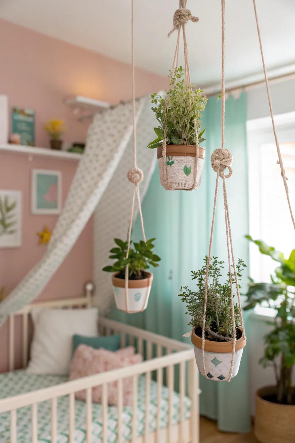 A plant mobile adds a whimsical touch to any room.