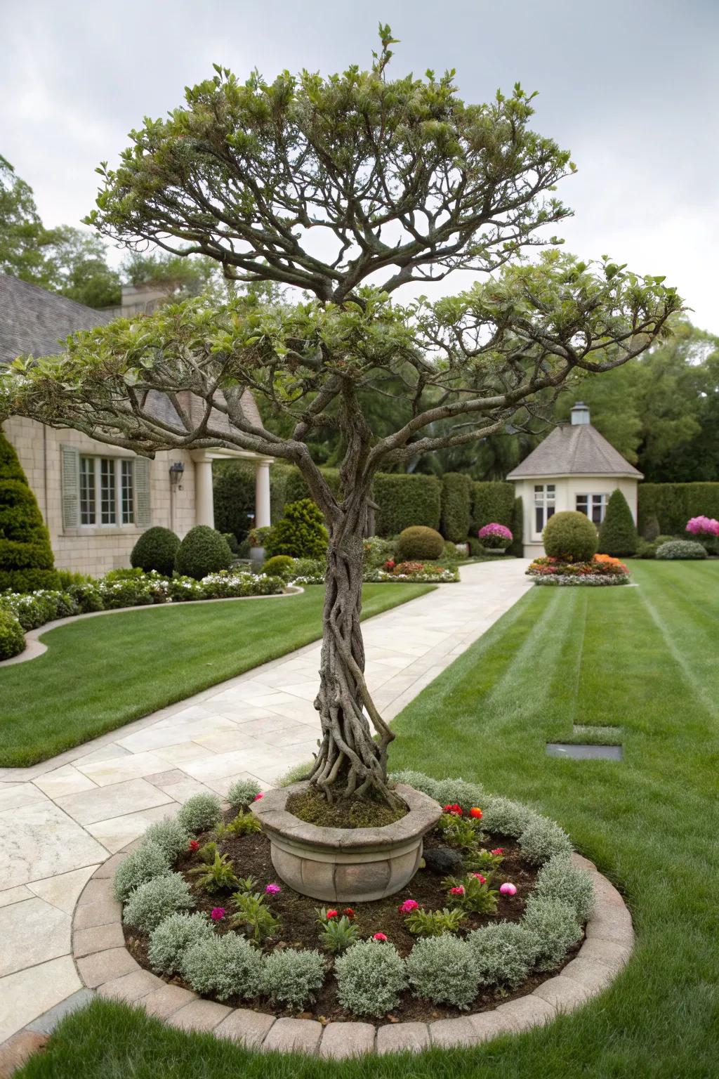 A standout tree can anchor your landscape design.