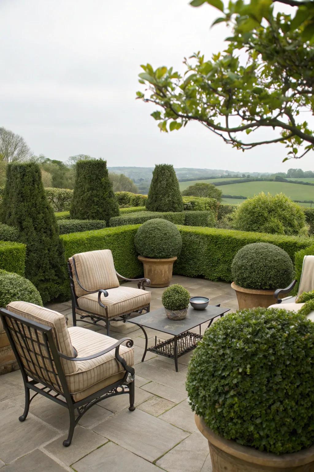 Boxwood planters can turn any patio into an inviting oasis.