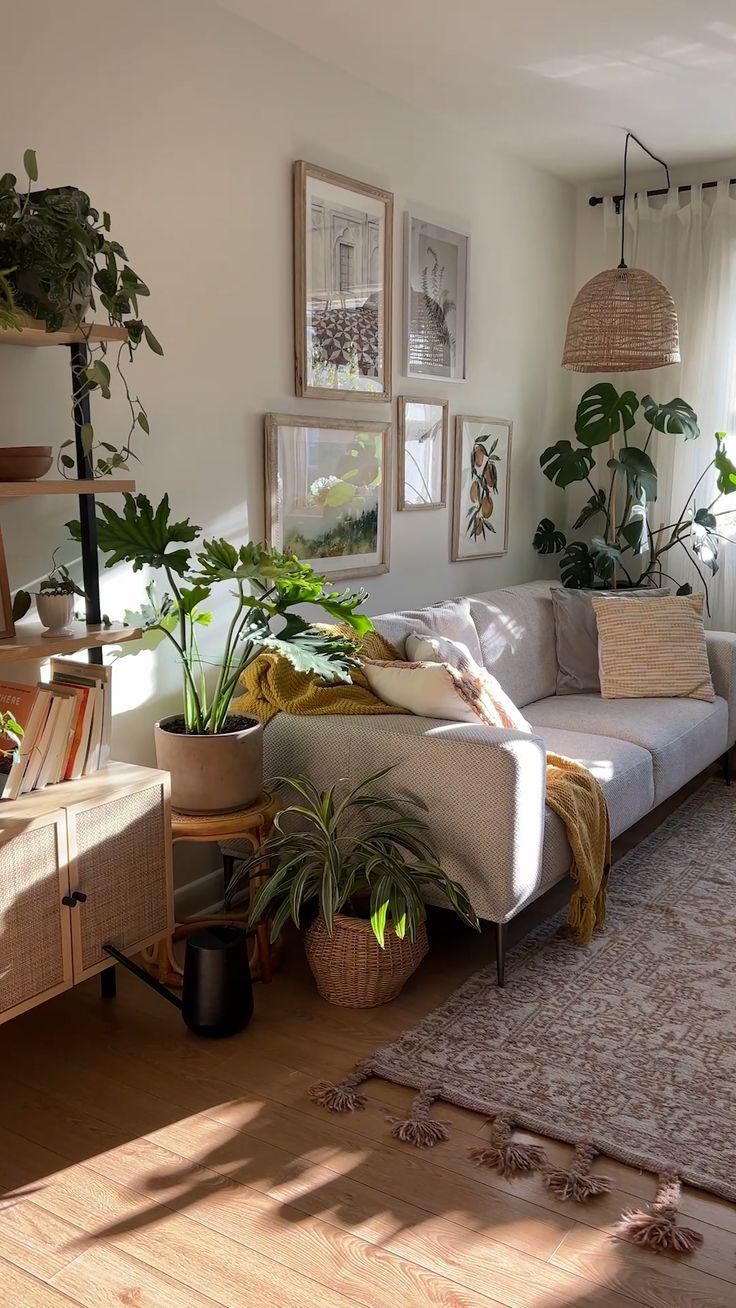 A 400-Square-Foot Ontario Rental’s Top Style Inspiration Is Earth Itself