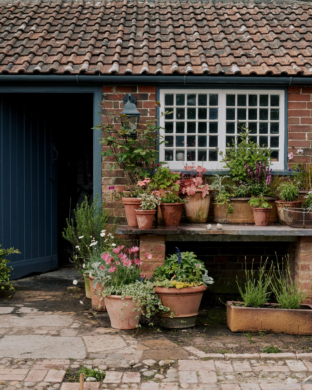 Country garden transformed and revived with potted plants and fresh design
