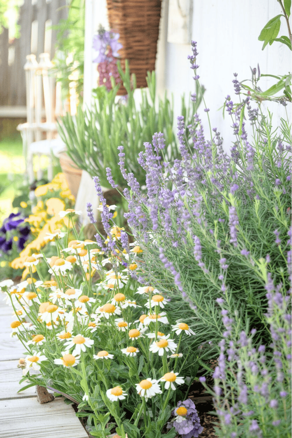 How to Create the Dreamiest English Cottage Garden That Feels Straight Out of a Storybook (For Your Flowers)