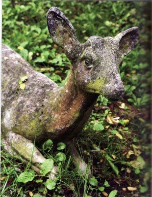 Mossy deer