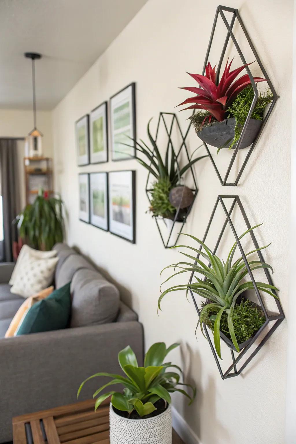 Geometric shapes infuse a contemporary vibe into air plant displays.