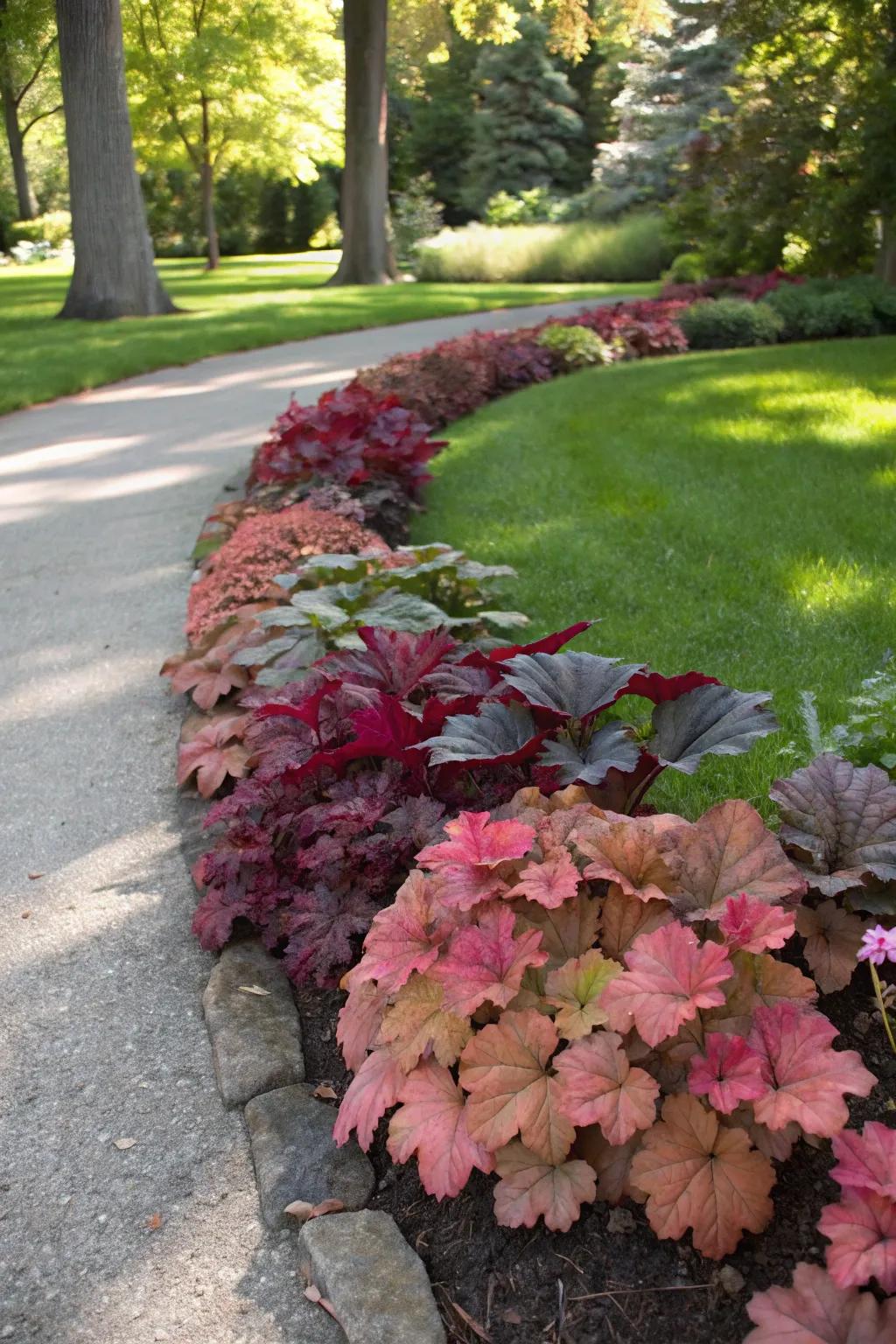 Coral bells create a stunning border along a garden path with their diverse colors.