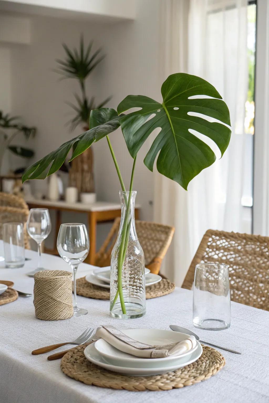 A clear vase holding a split-leaf philodendron frond as a simple, yet impressive centerpiece.