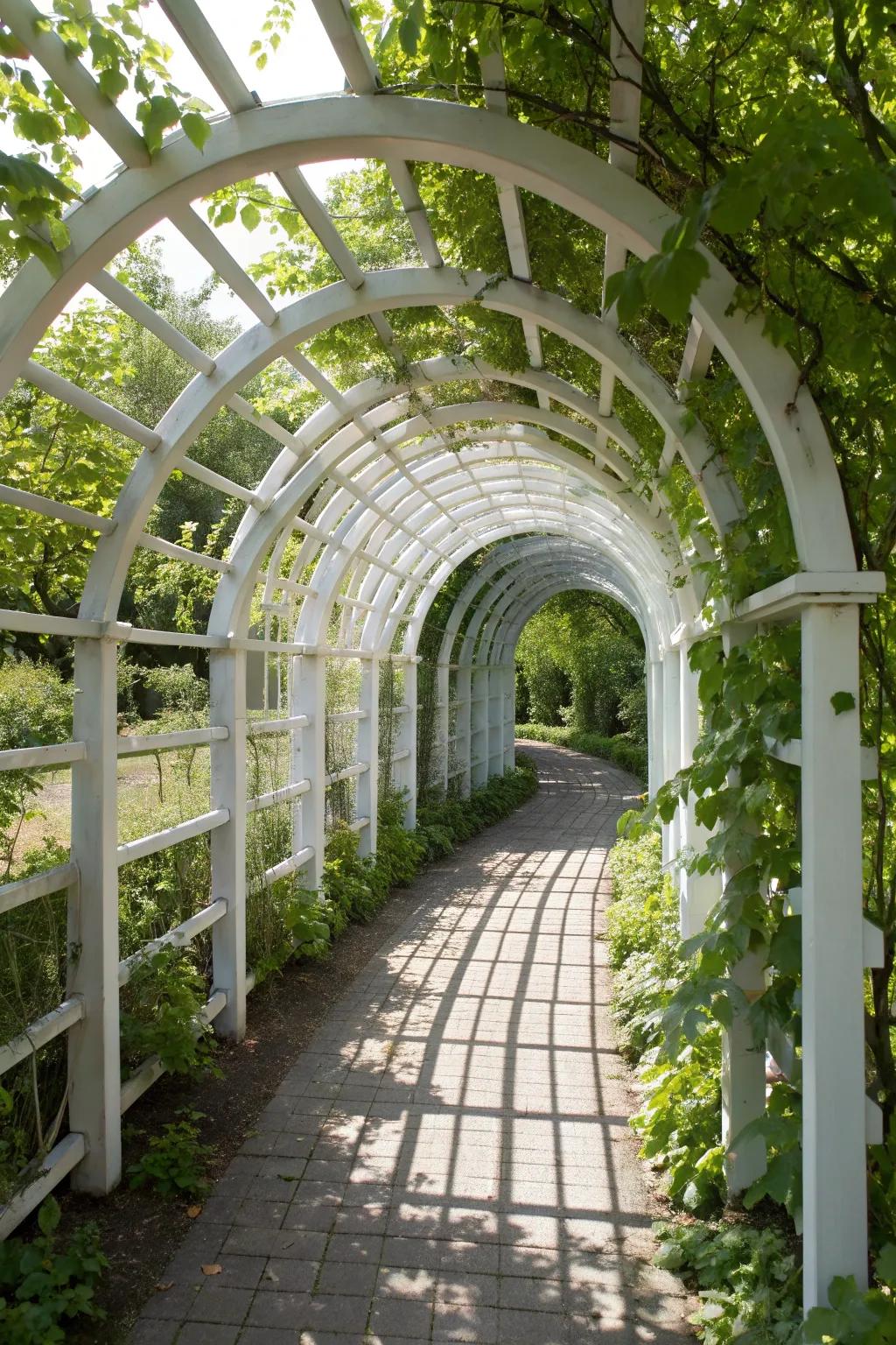 Transform your garden with this elegant PVC arched trellis, a perfect blend of craftsmanship and nature's beauty.