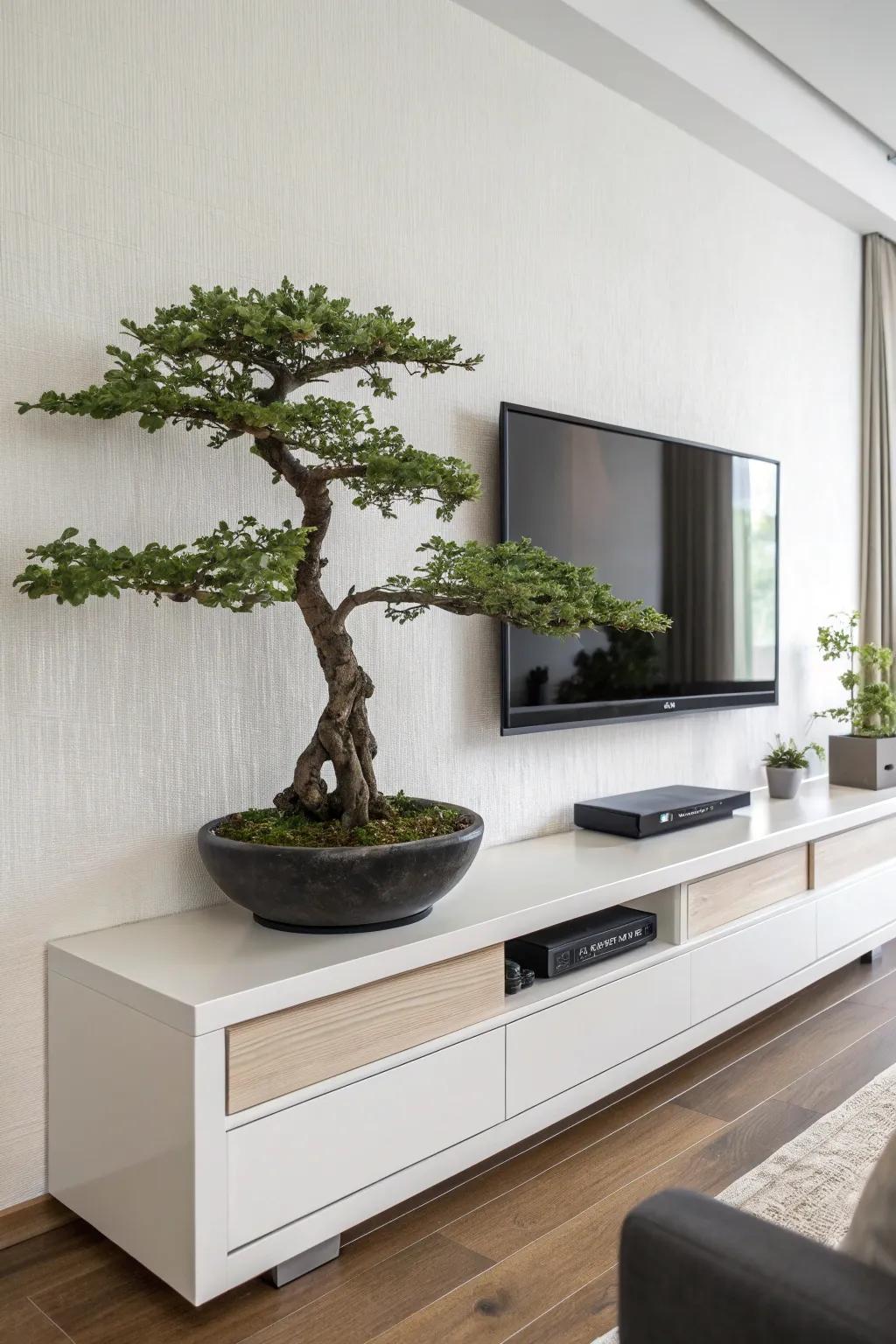 Bonsai elegantly perched on a floating shelf