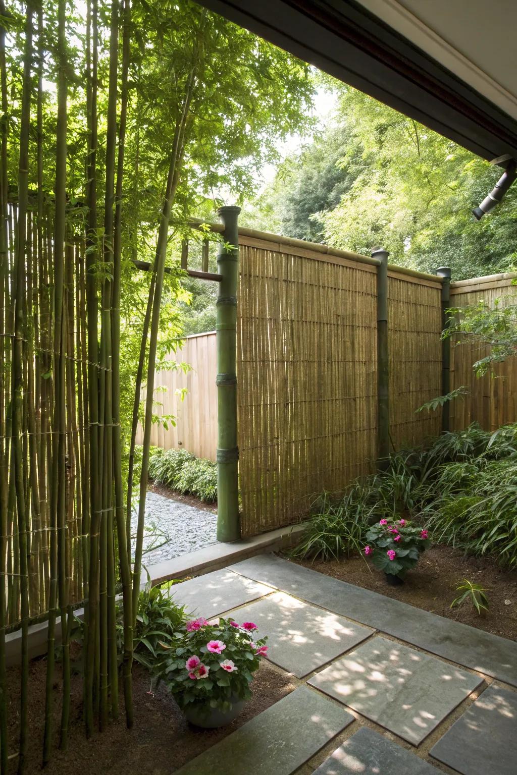 Privacy screens offer seclusion and style.