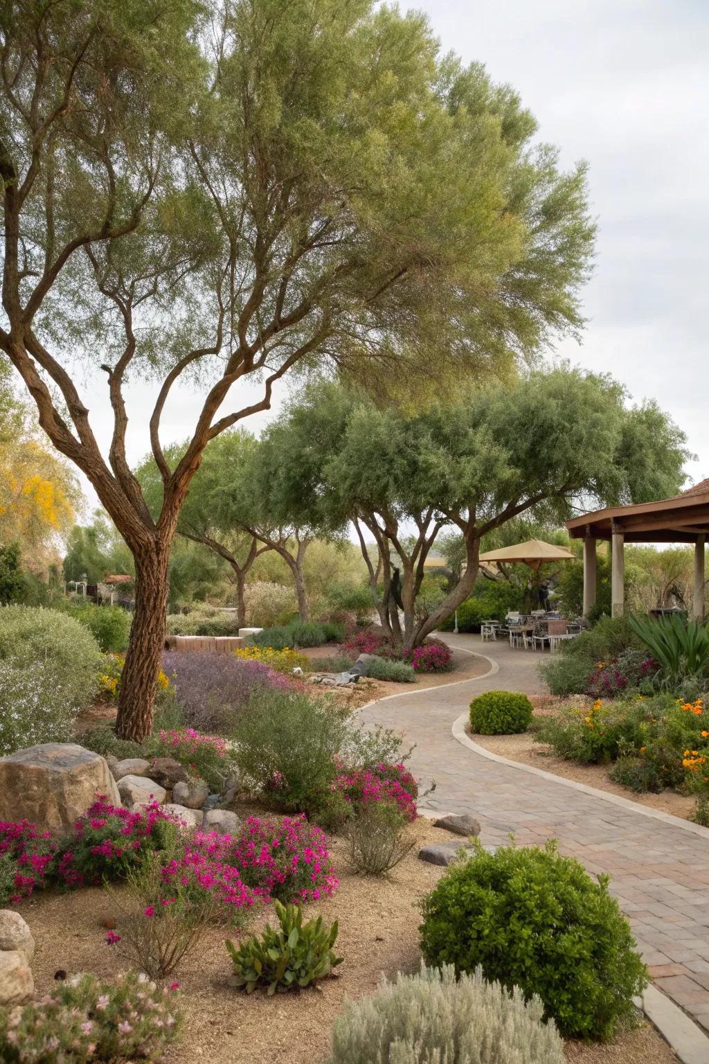 Water-wise trees offer beauty and practicality with minimal water use.