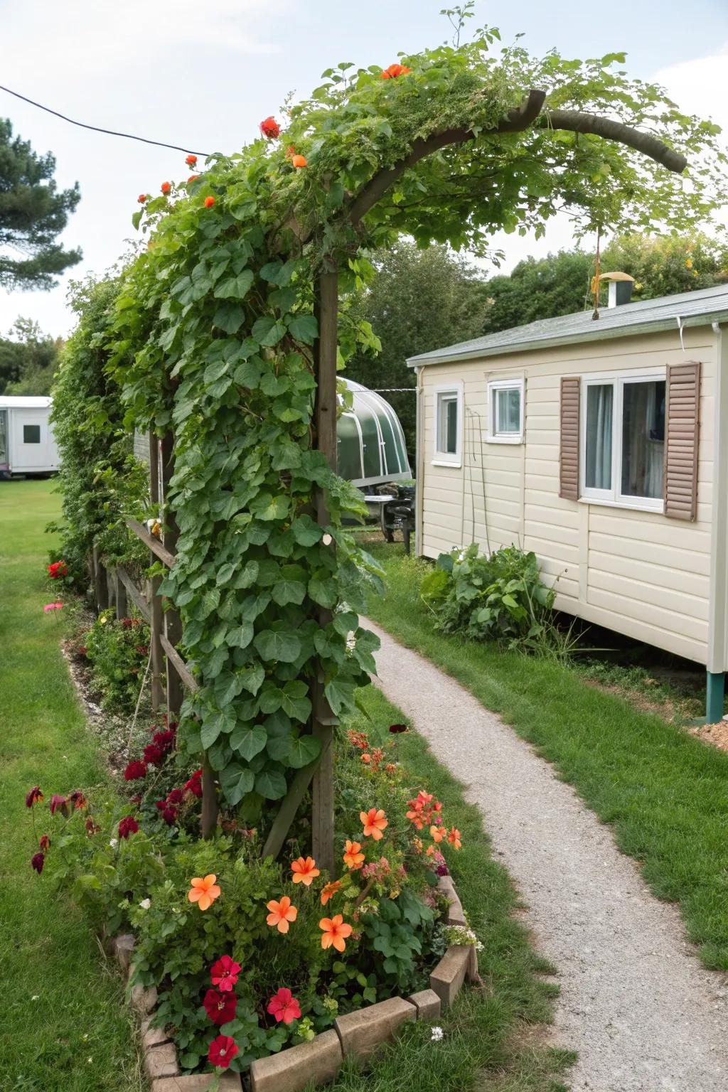Trellises offer vertical gardening opportunities, perfect for small spaces.