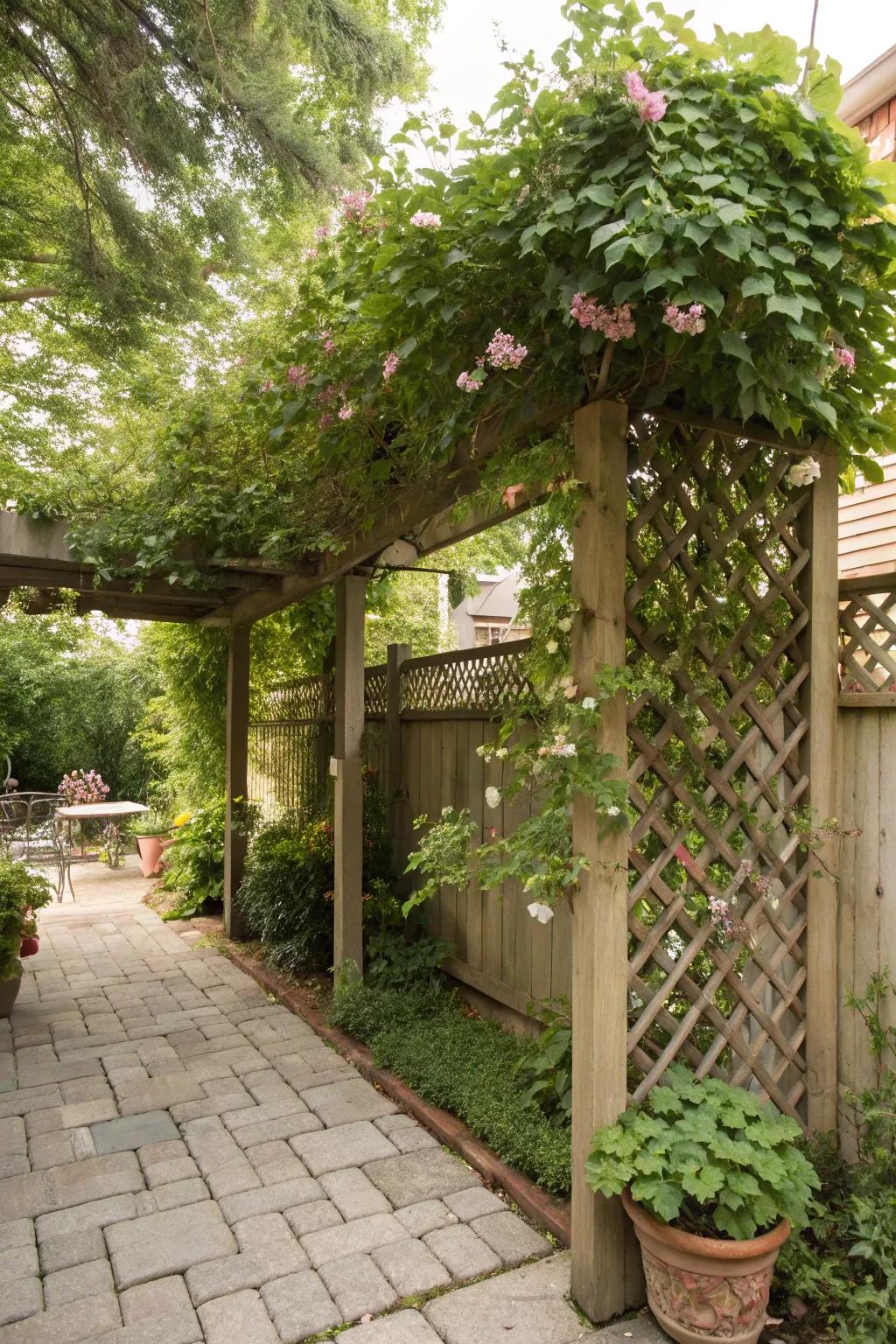 Trellis structures support climbing plants and add vertical interest.