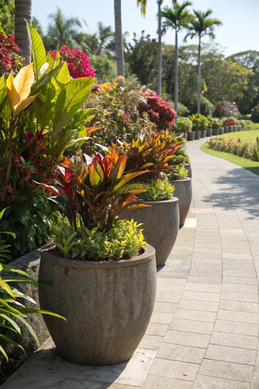 Over-sized cases bursting with lush tropical plants.