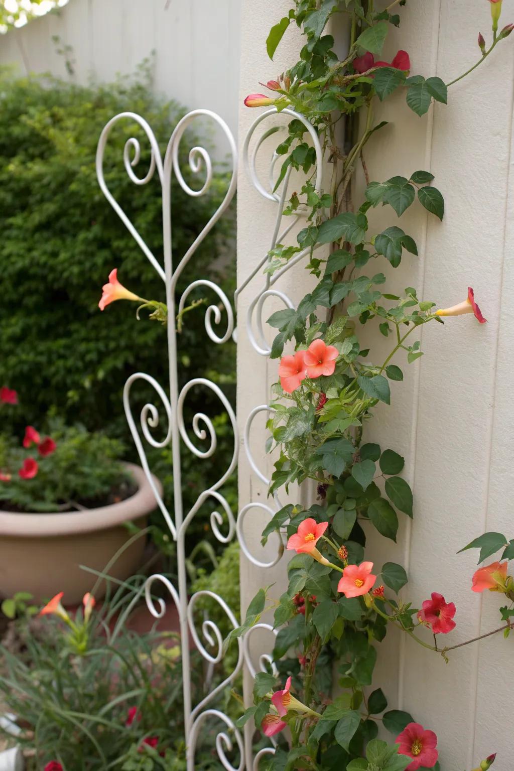 Elevate your garden with artistic wire trellis designs that blend minimalism with whimsical charm.