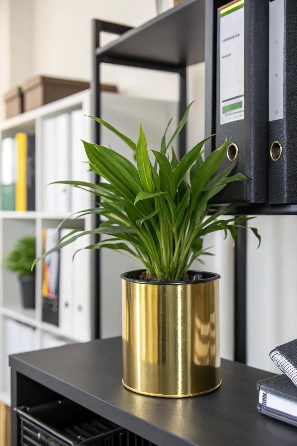 Gilded flora holders bring a hint of nature and design to your workspace.