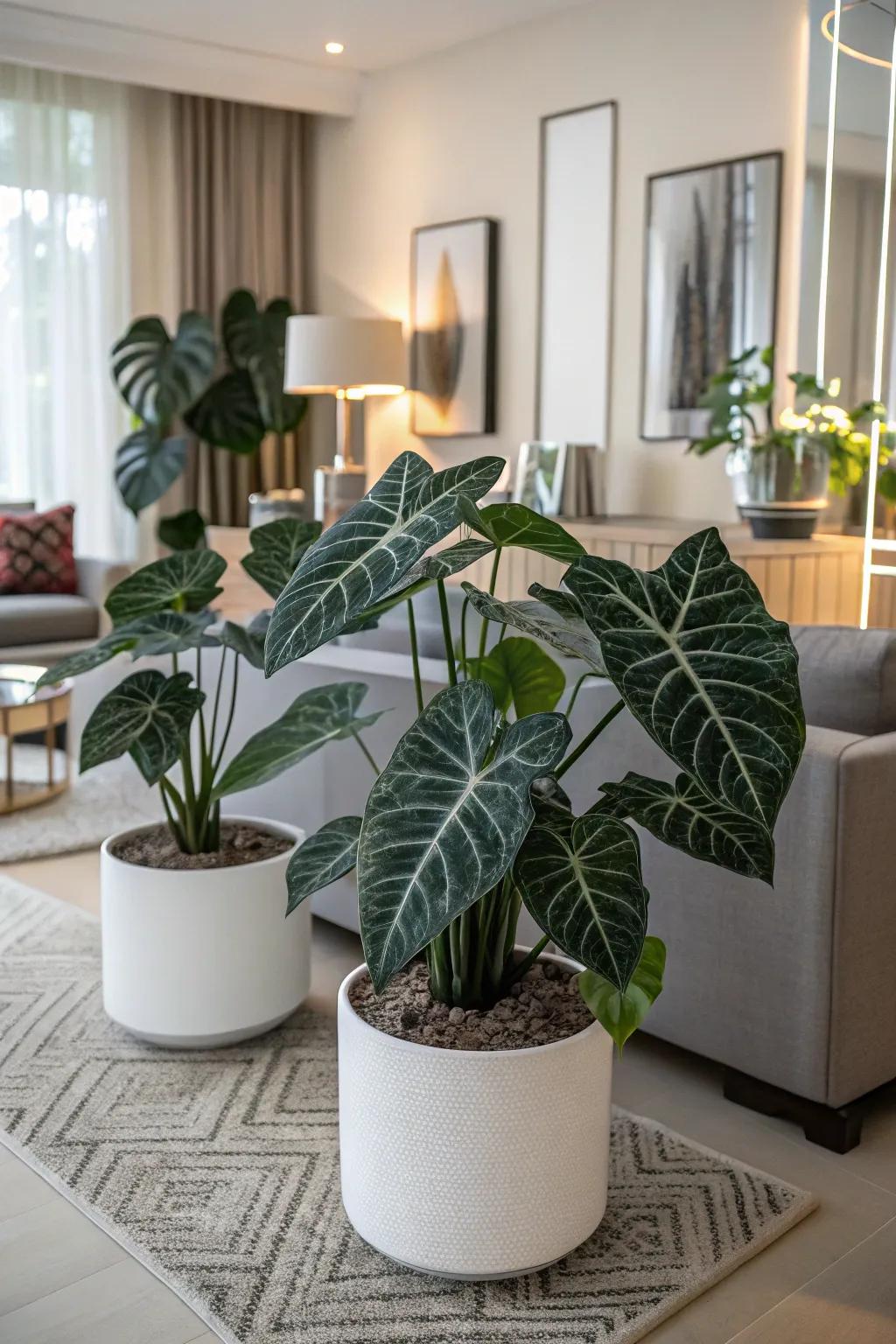 A monochromatic look with caladiums creates a serene vibe.