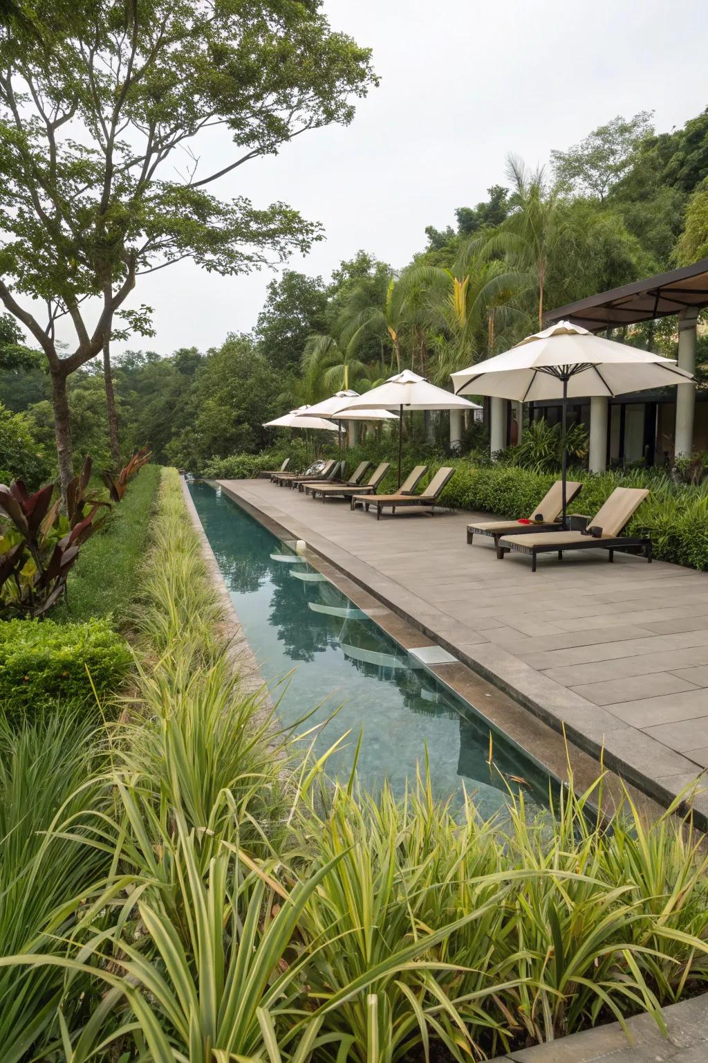 Verdant liriope frames a poolside paradise, exuding tranquility.