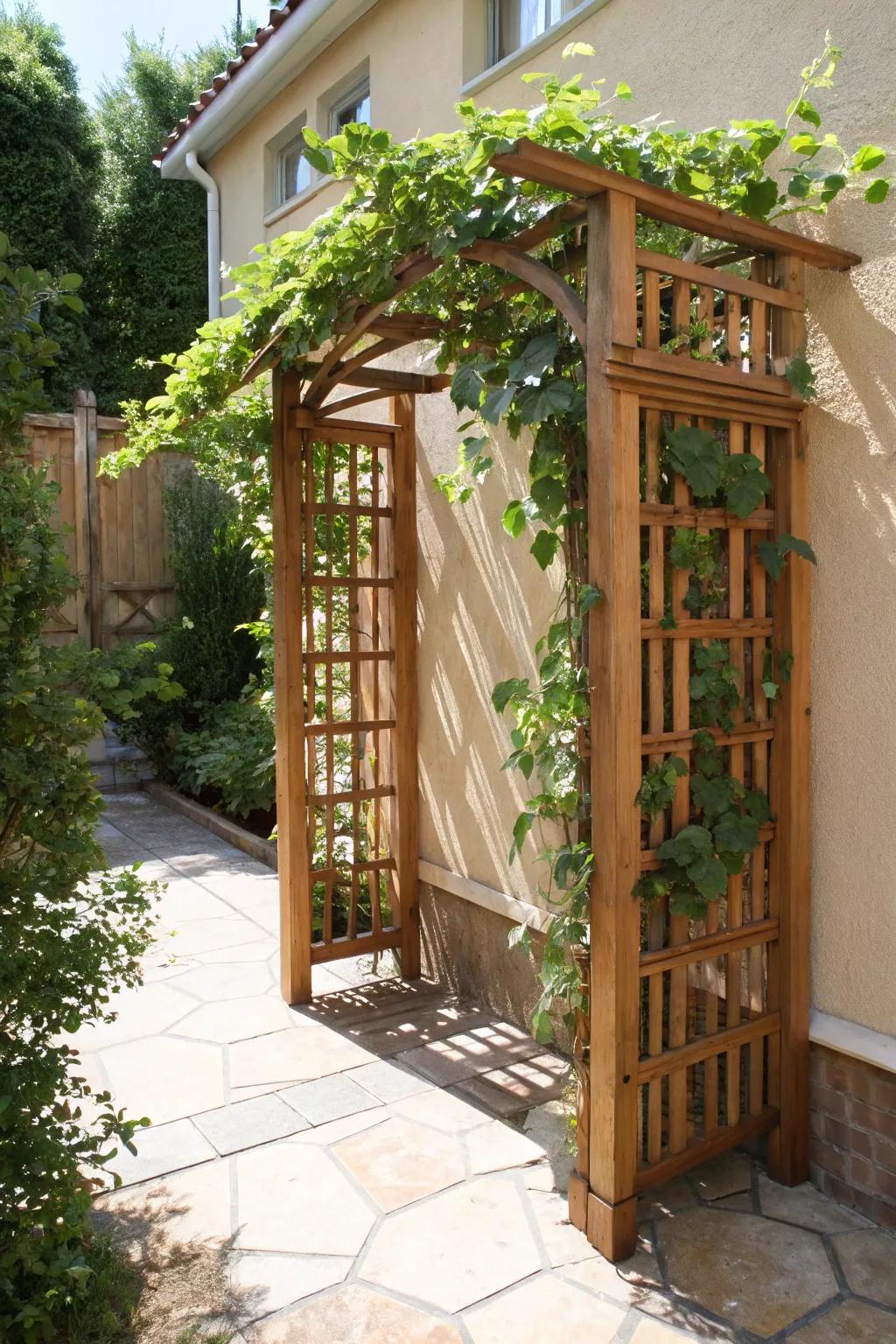 Elevate your patio with a handcrafted trellis — where nature meets artistry.