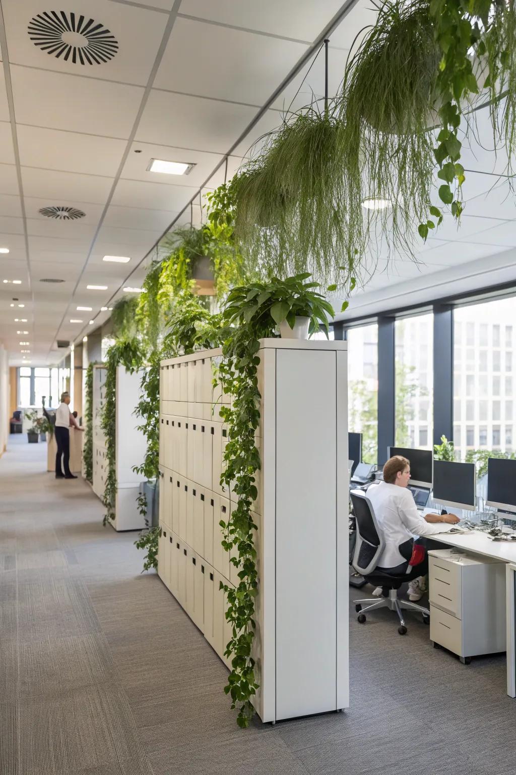 Use all the space you have to make a nice experience.