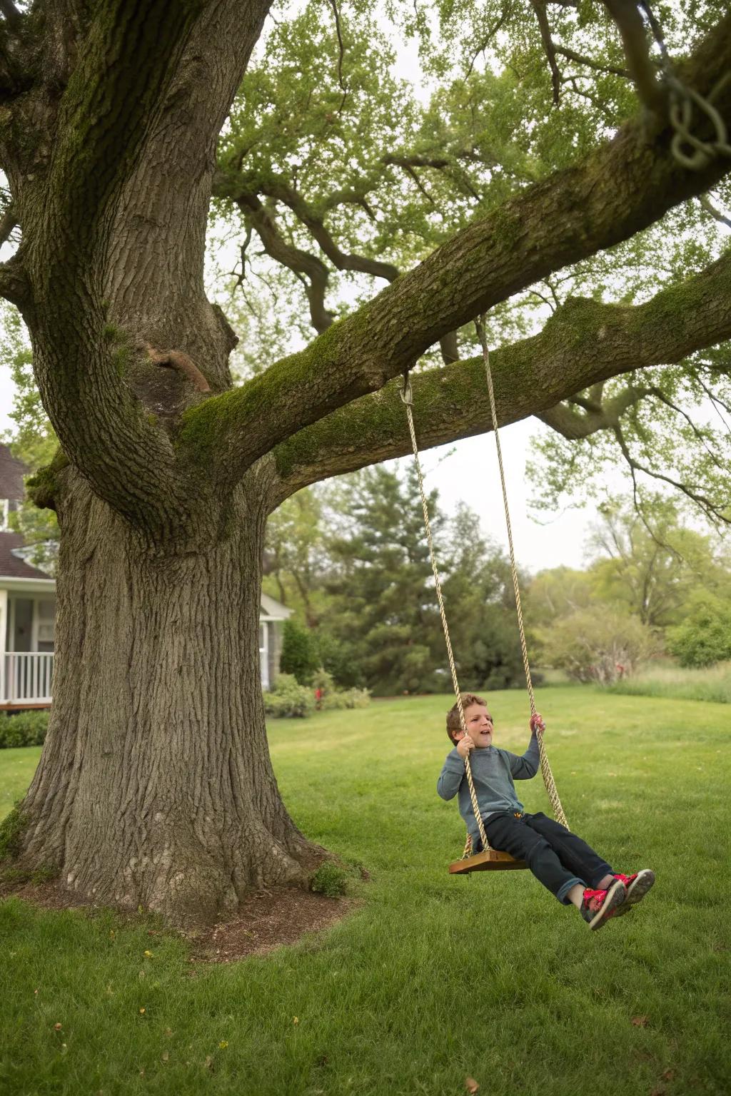 Swing into fun with a classic tree swing.
