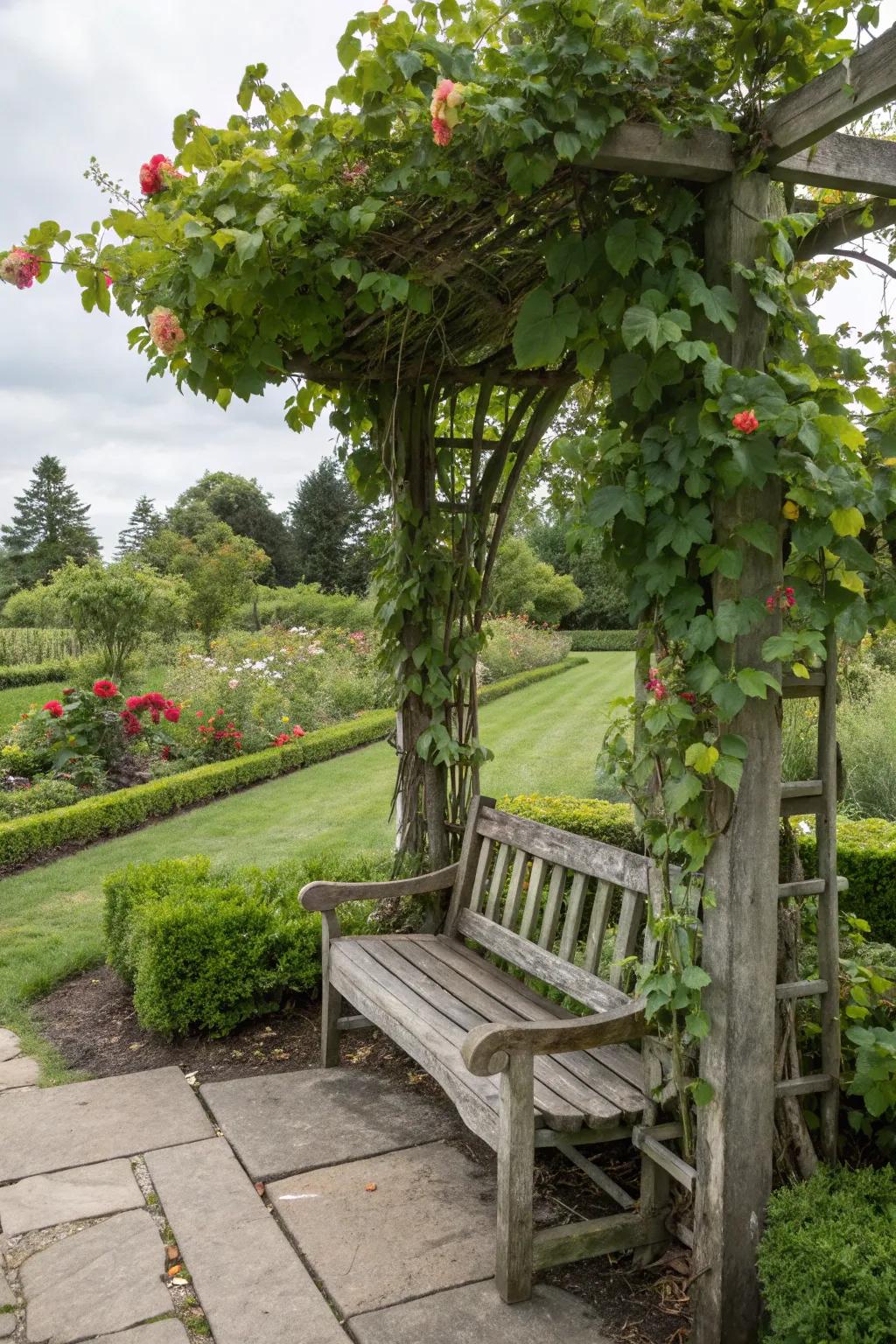 A garden bench with a trellis, inviting nature to envelop around.
