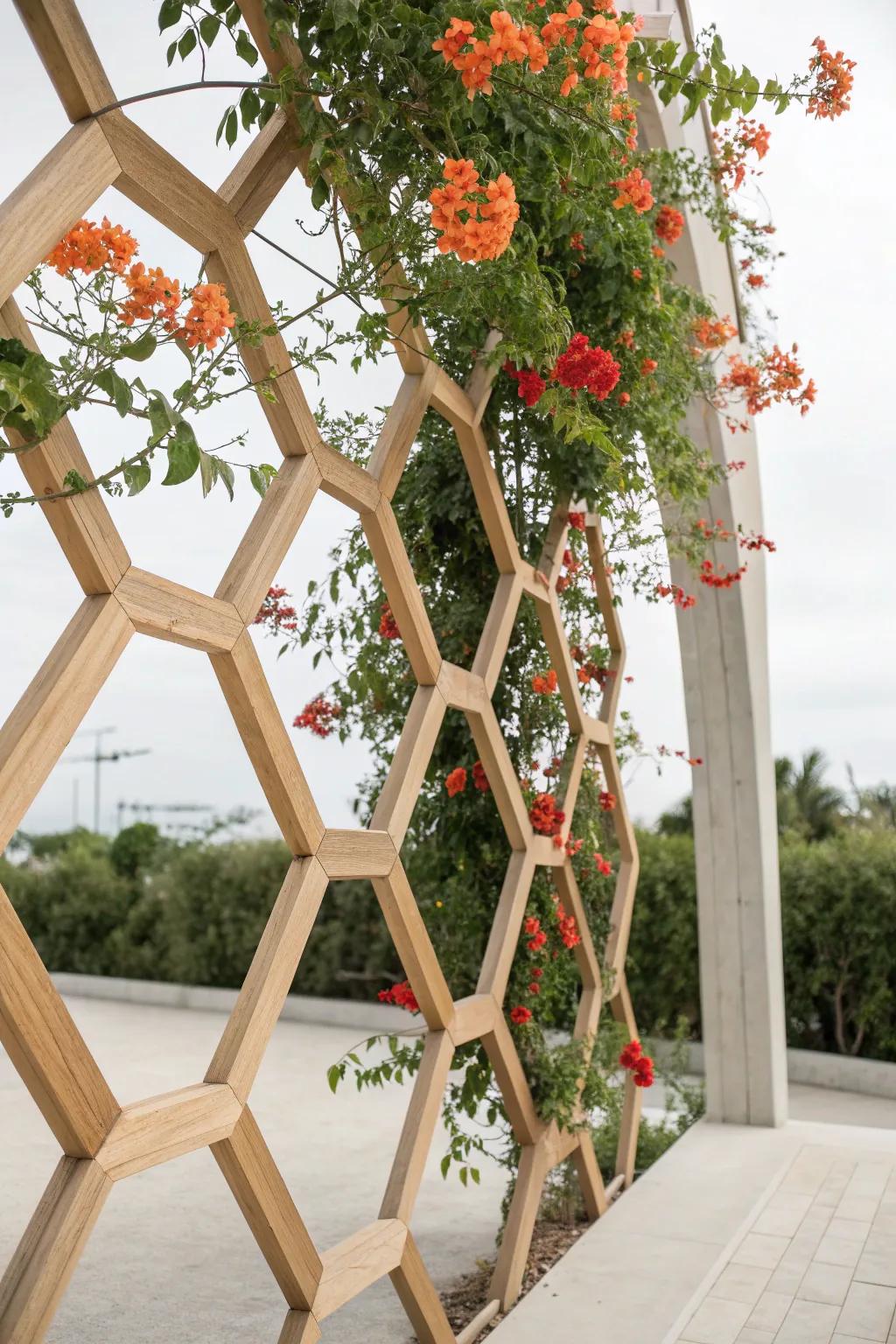 Embrace modern elegance with a geometric trellis adorned by nature's vibrant touch. 🌿🌺