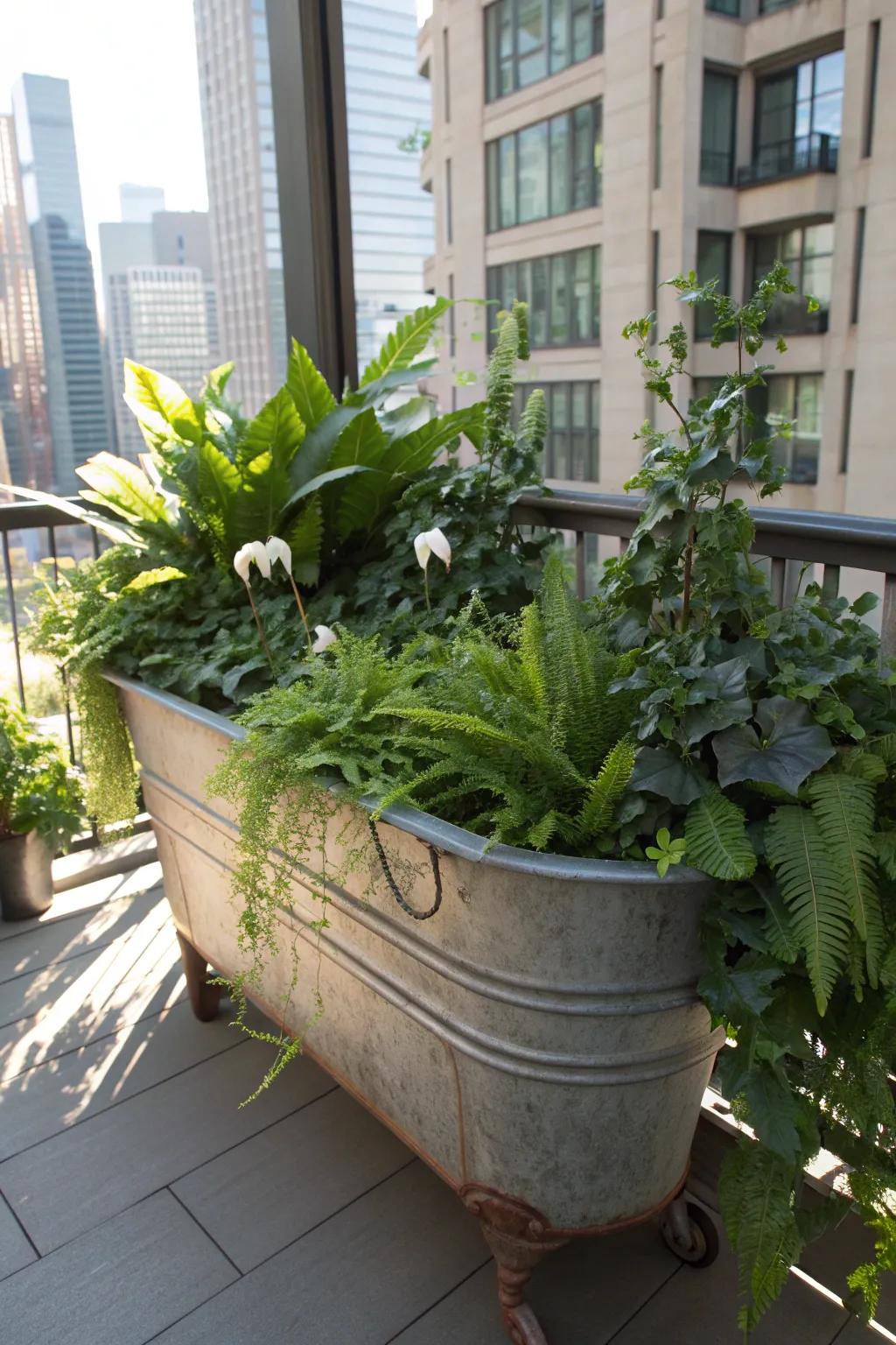 Transform your balcony into an urban jungle oasis with a crafted water trough garden.