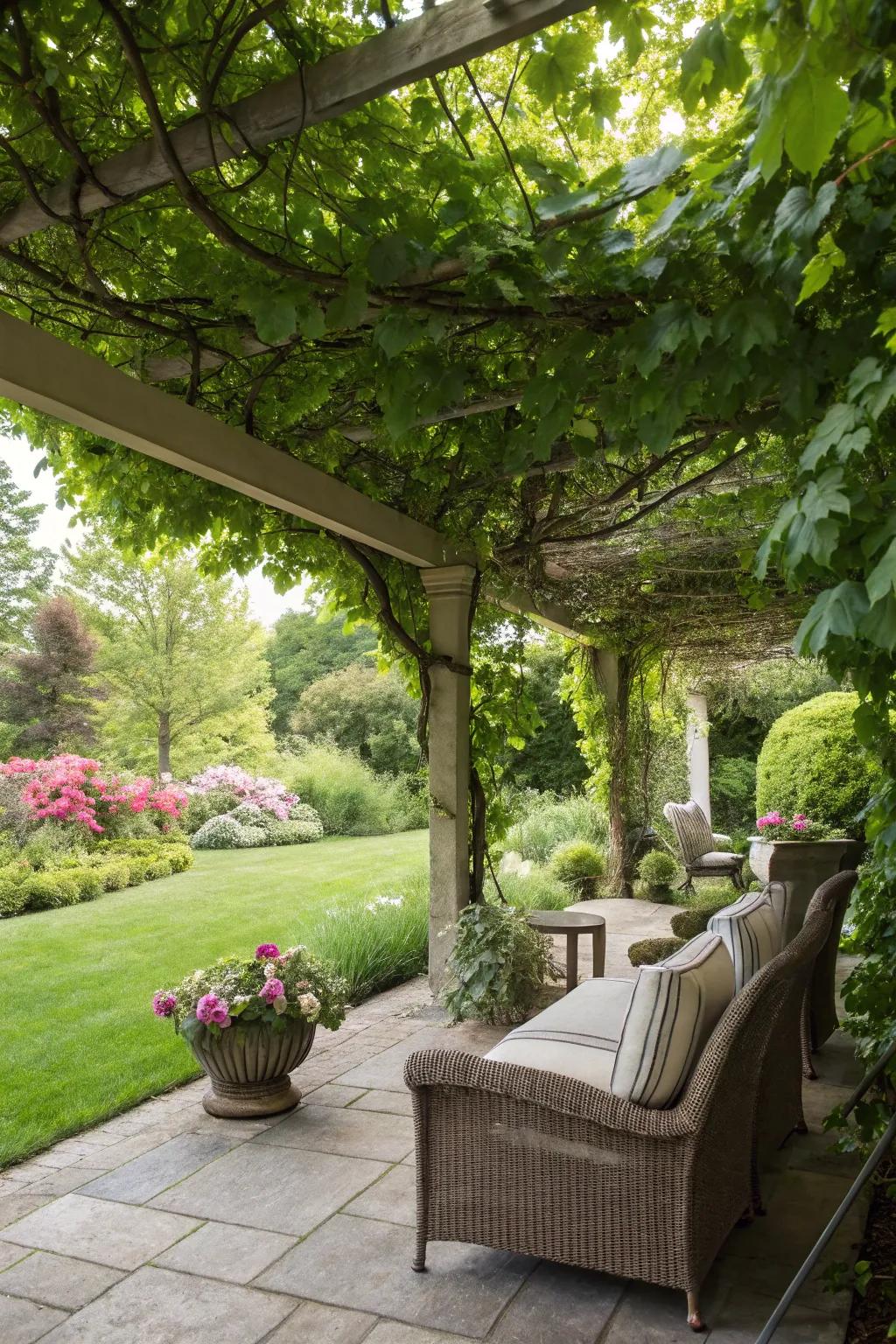 Shade structures improving outdoor comfort.