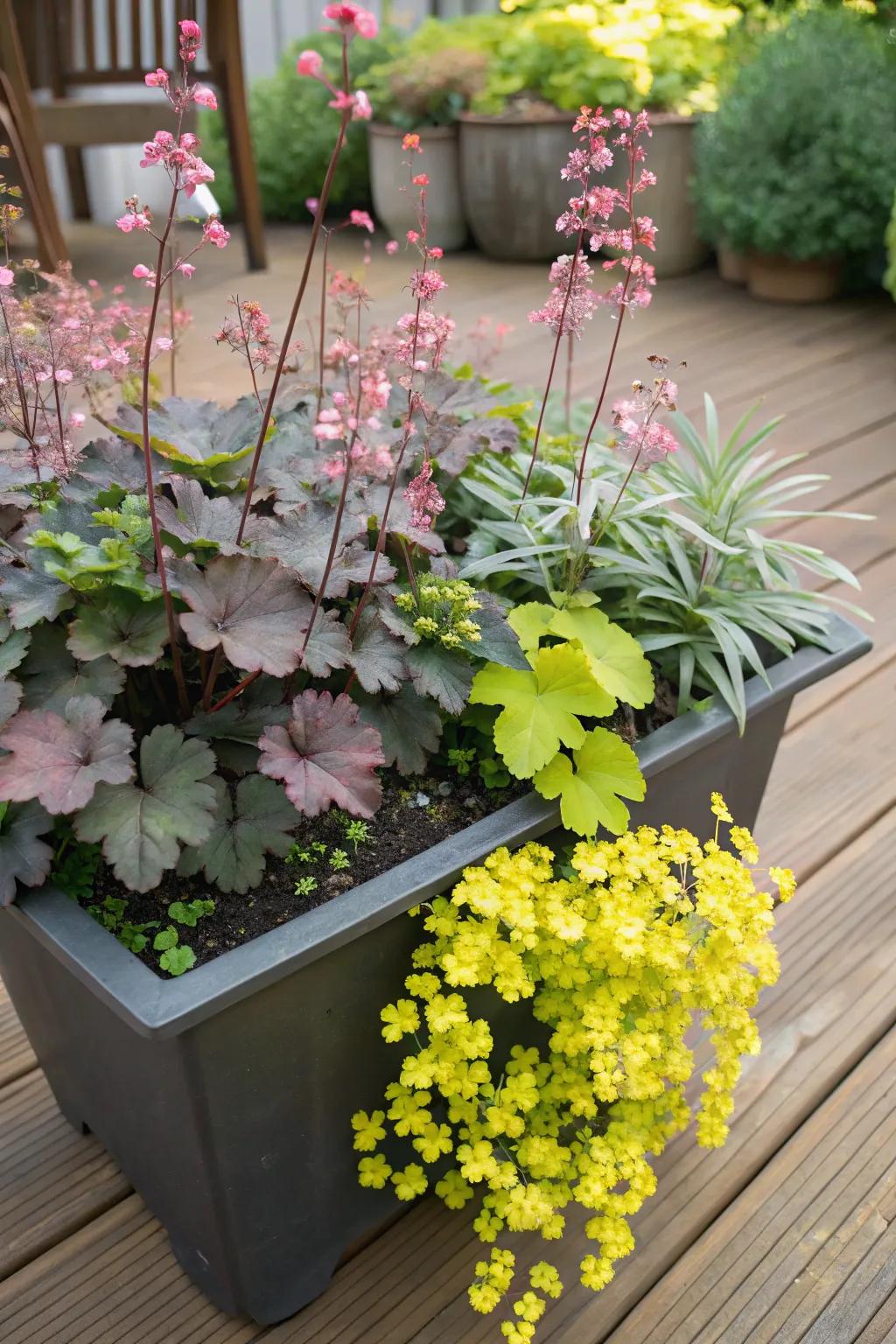 Coral bells paired with creeping jenny create a whimsical container garden.