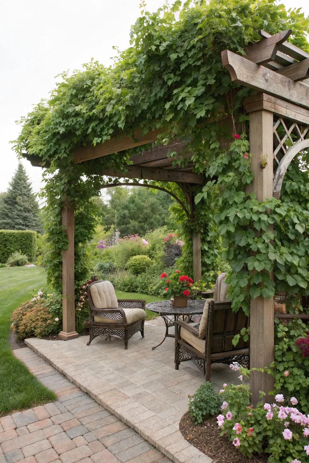 A pergola provides shade and a touch of elegance.