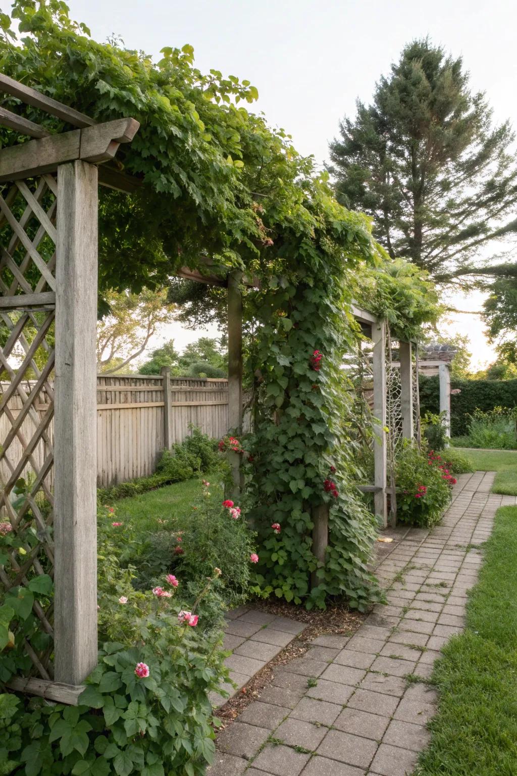 Vertical latticework with climbing plants crafts a private garden nook.