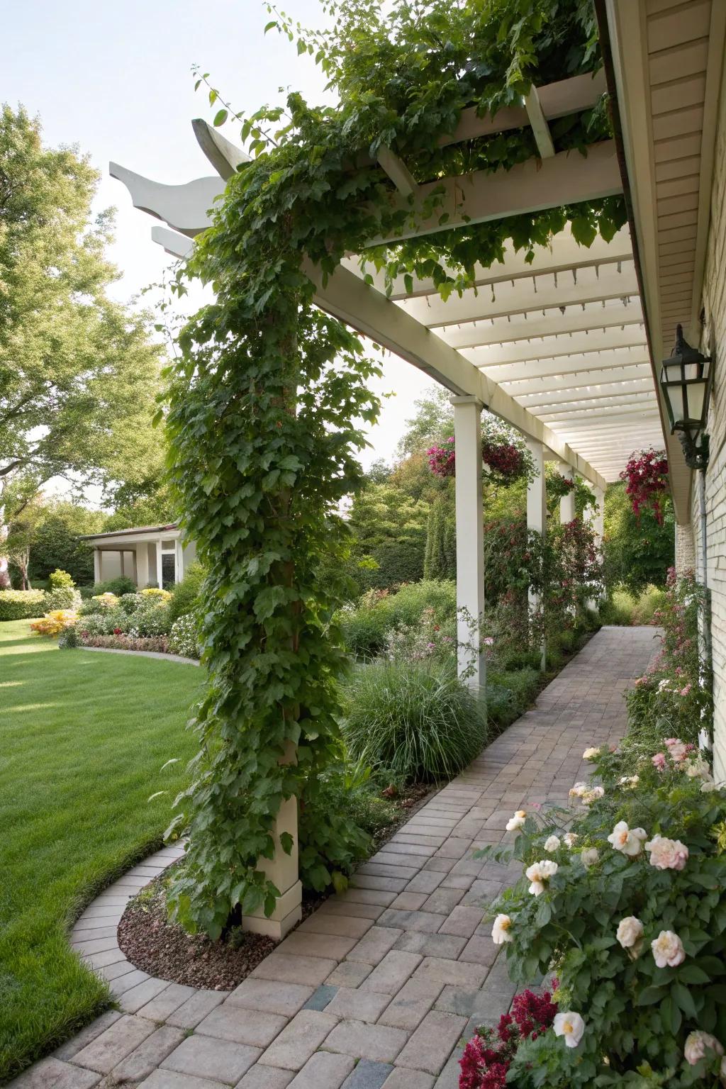 A pergola contributes shade and architectural interest.
