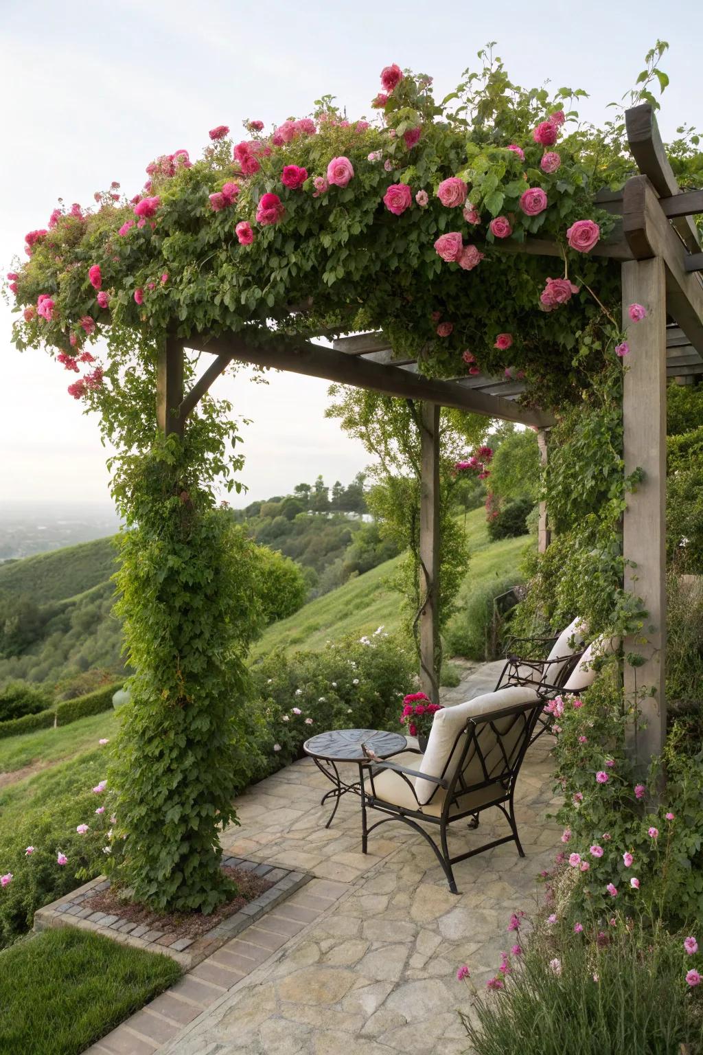 Pergolas create cool, inviting spaces.