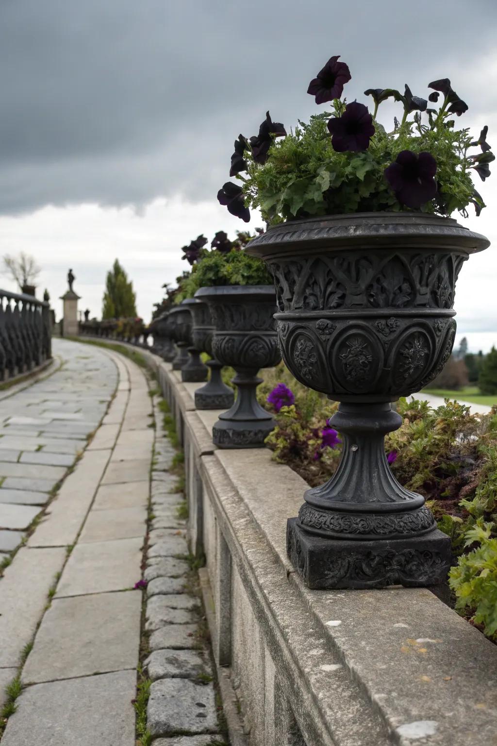 Gothic-style pots housing inky petunias