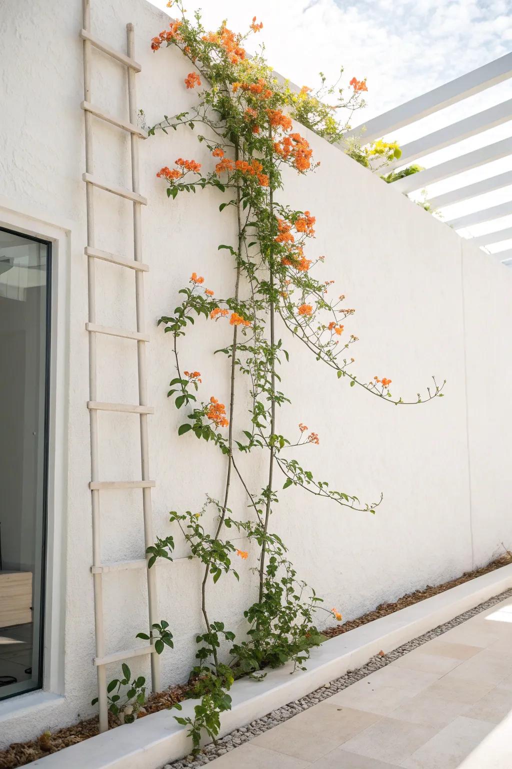 Embrace simplicity with a minimalist cable trellis, letting your trumpet vines take the spotlight.