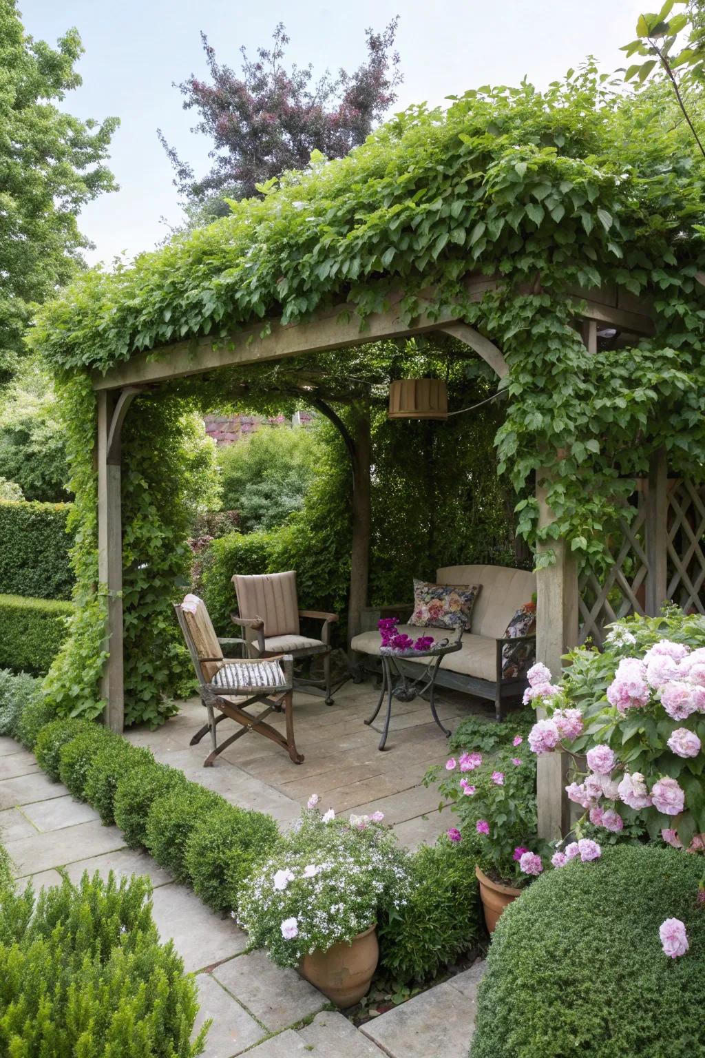 A pergola offers shade and a space for climbing plants.
