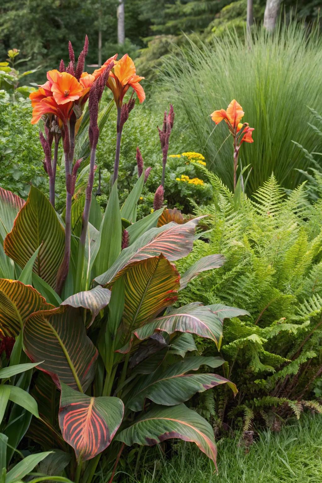 Glory plants with grasses and ferns for intense foliage emphasis.