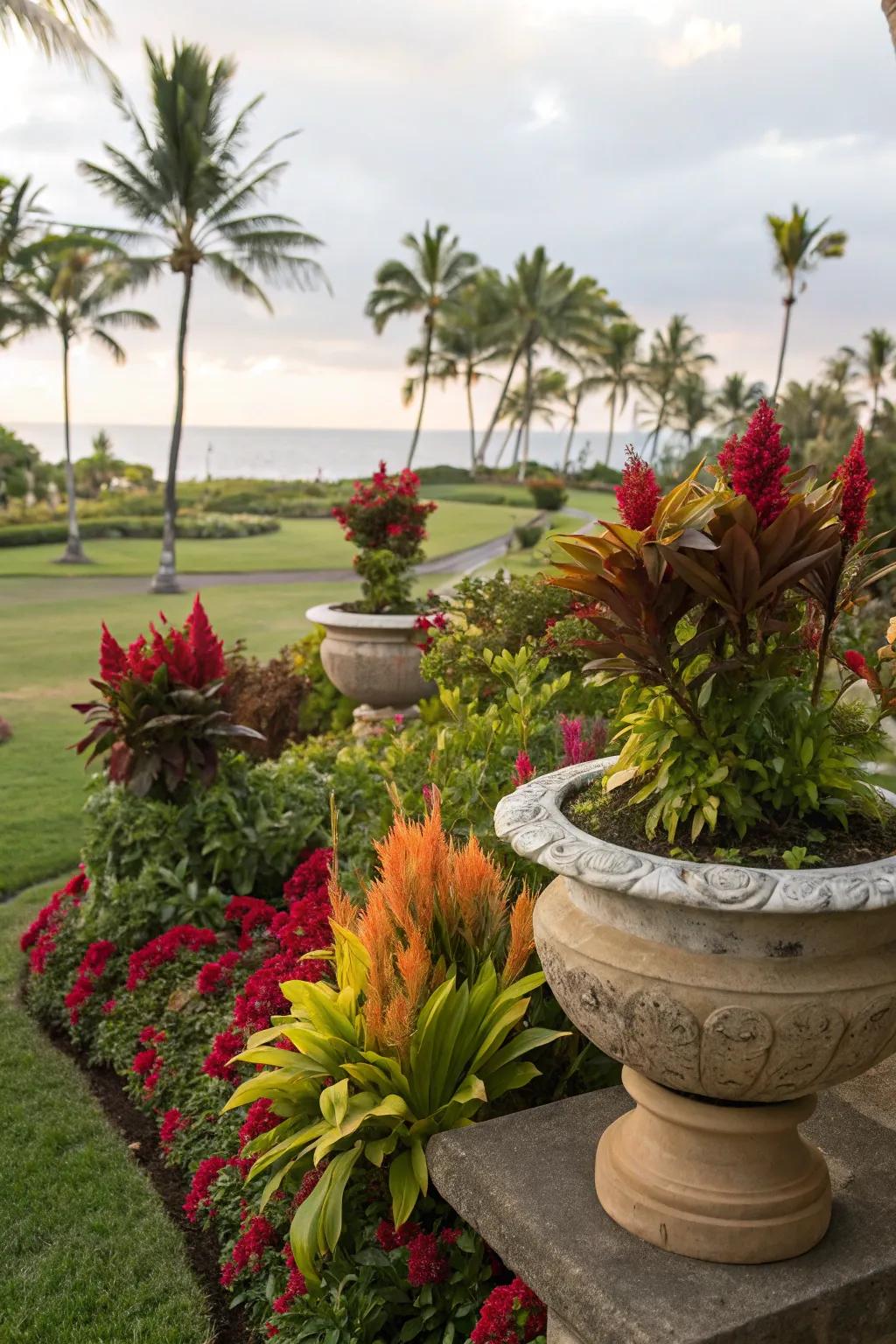 Create a tropical escape with celosia and other exotic plants.