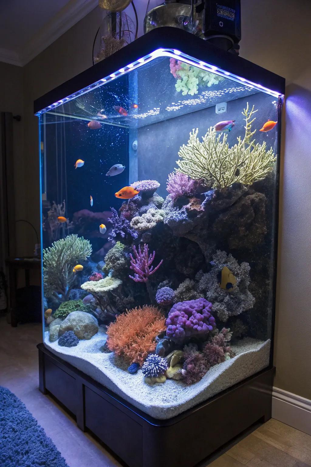Artistic arrangements inside your tank render it a living work of art.