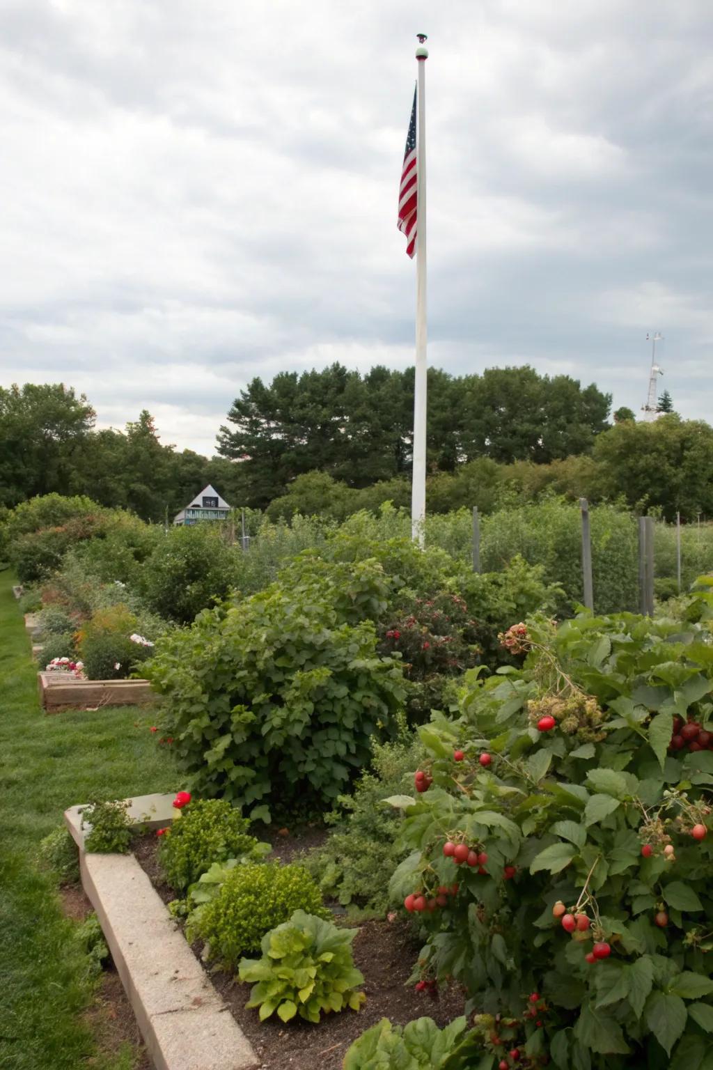 Edible plants offer beauty and bounty around a flagpole.